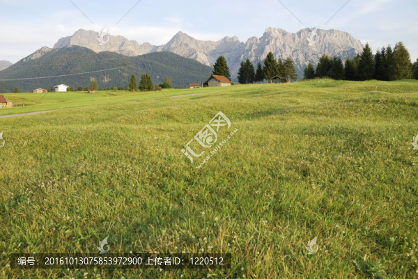 山上的牧場