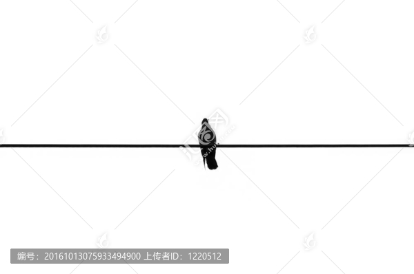 電線上的鳥