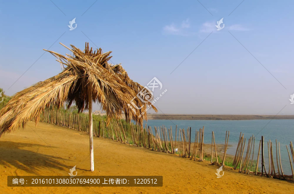 死海的海灘