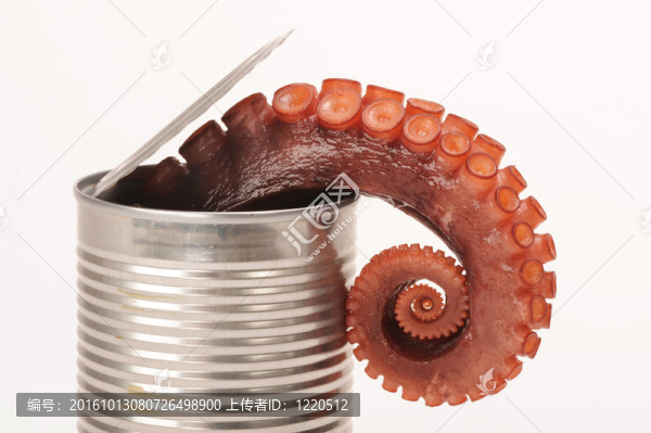 罐中的章魚