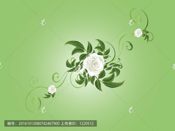 玫瑰