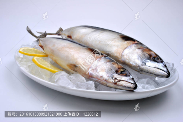 在一個冰白板兩鯖魚