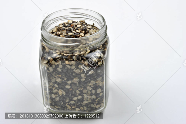 網(wǎng)格多爾吉爾卡；有機(jī)干分裂豆