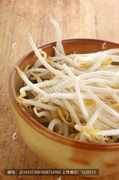 在木材板有機(jī)豆芽