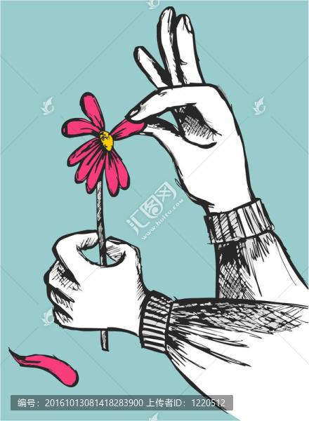手拔下天藍(lán)色的背景上紅色花瓣。向量可用