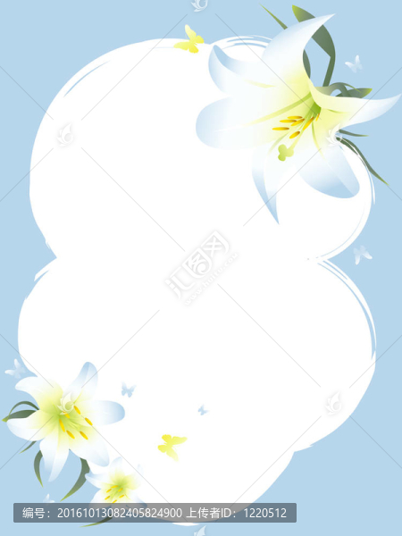 框架分隔開(kāi)的白百合