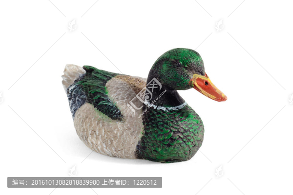 鴨的紀(jì)念品
