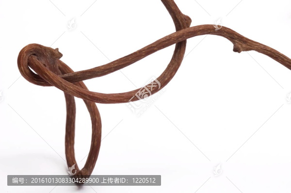 干裝修。秋天