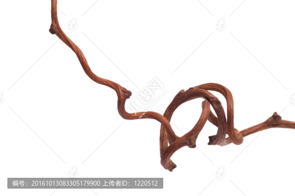 干裝修。秋天