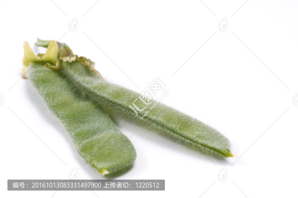豆