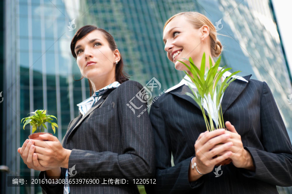 婦女與植物