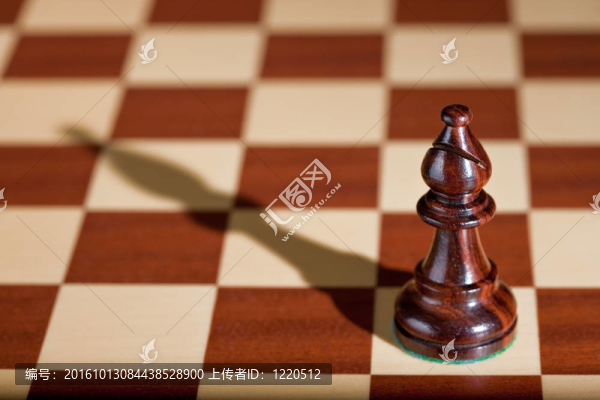 棋子在棋盤上的一個(gè)黑色的主教-。
