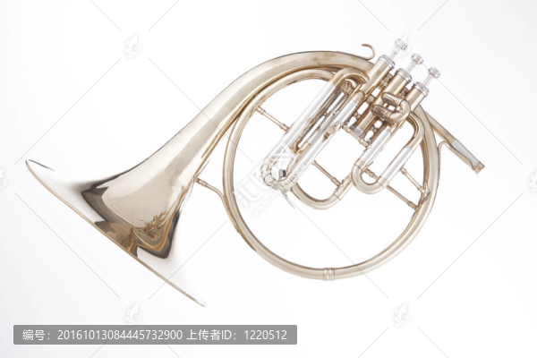 圓號peckhorn孤立White