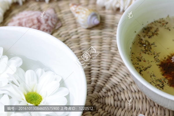 SPA設(shè)計(jì)