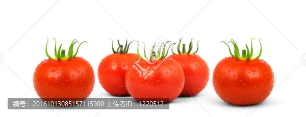 西紅柿