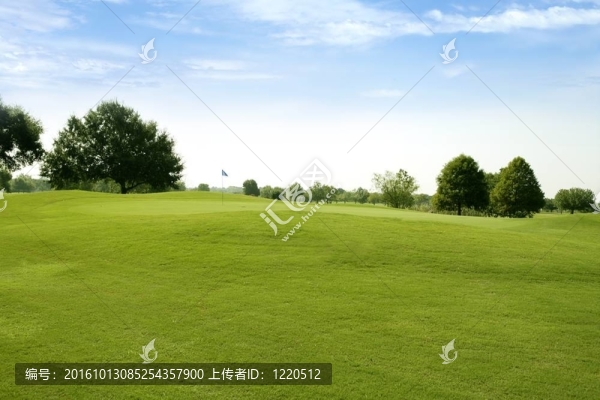 漂亮的高爾夫球場(chǎng)果嶺草坪運(yùn)動(dòng)場(chǎng)