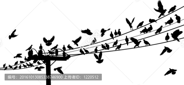鳥棲