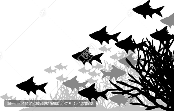 珊瑚魚