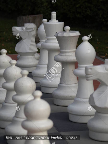 戶(hù)外游戲棋