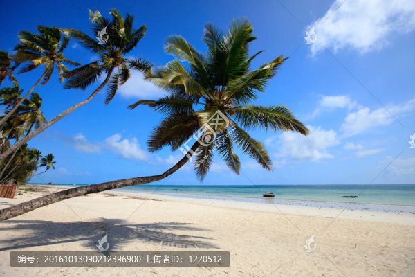 熱帶海灘