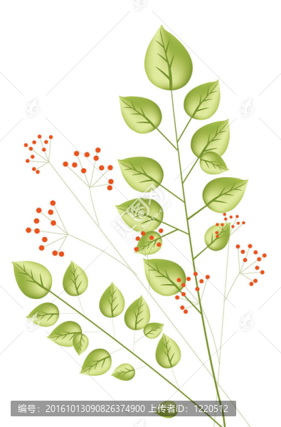 植物和紅色漿果
