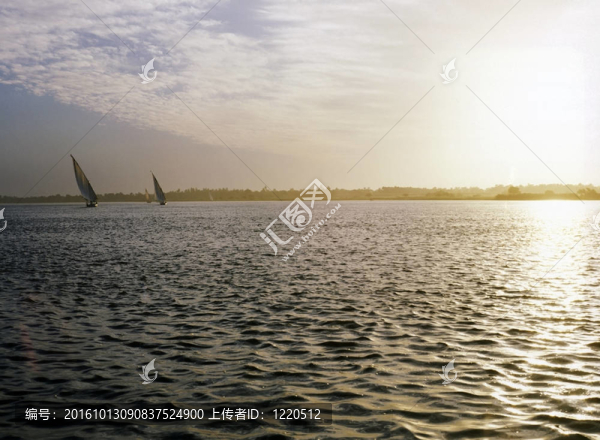 尼羅河