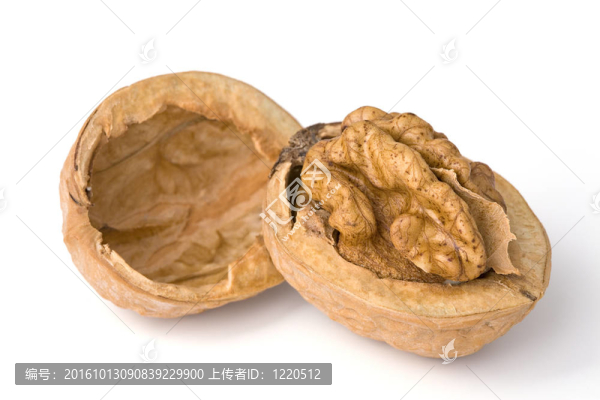 核桃的特寫。文件內(nèi)容一個裁剪路徑