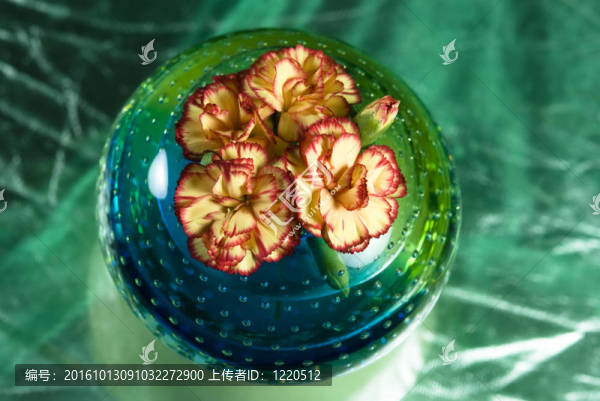 Pink,Flowers在一個(gè)花瓶里