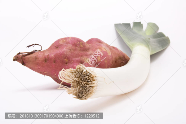 甘薯氮韭菜