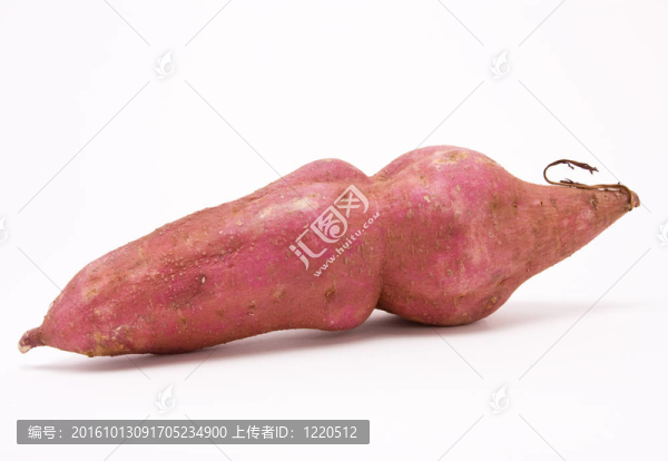 甘薯