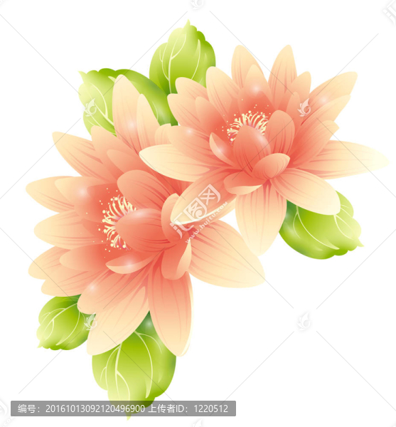 粉紅色的花