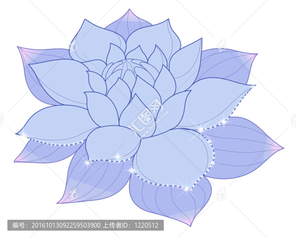 藍蓮花