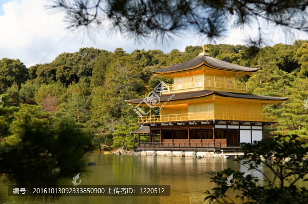 金閣寺