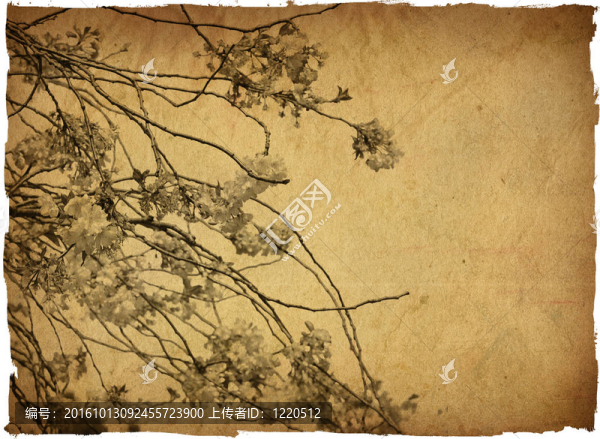傳統(tǒng)的藝術(shù)之花