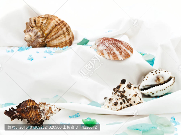海洋裝飾品