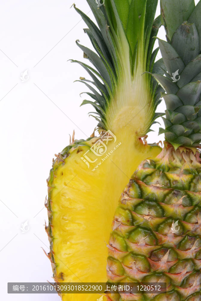 菠蘿1