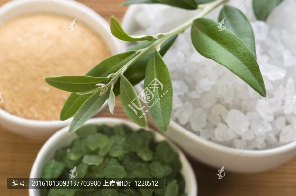 新鮮橄欖枝和沐浴鹽。SPA