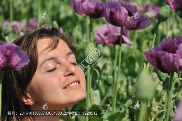 在現(xiàn)場的罌粟花的年輕女子