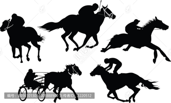 孤立的賽馬剪影。插畫。