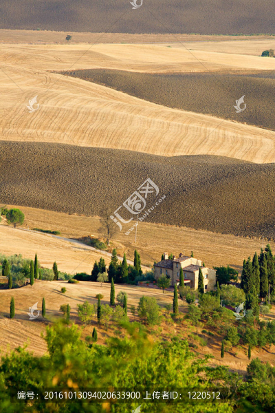 托斯卡納美麗的夏季風景