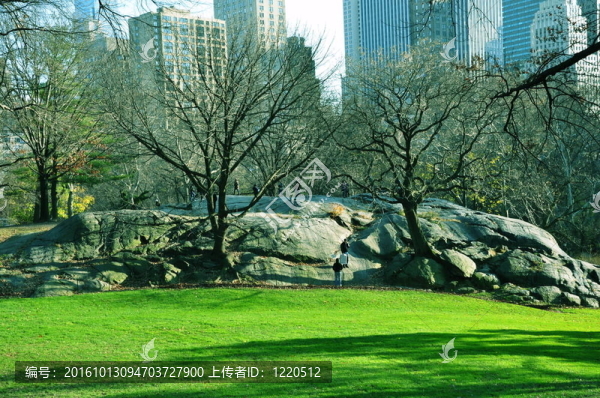 中央公園