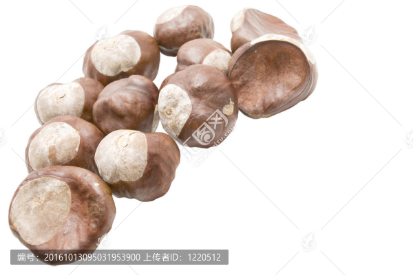栗子