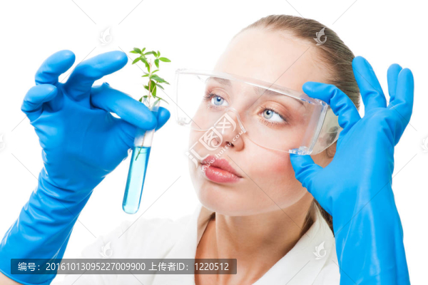遺傳修飾的植物