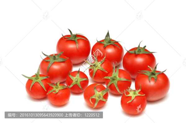 許多西紅柿在白色背景上分離