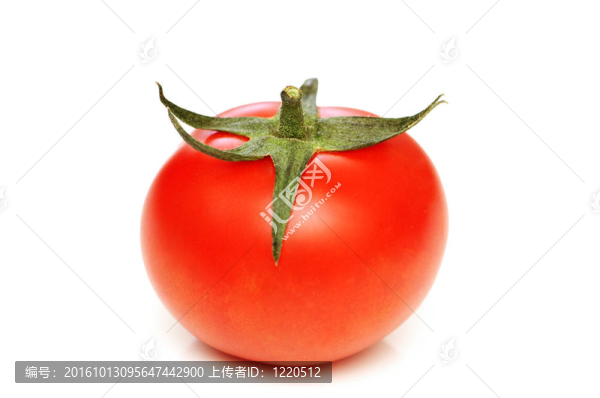 白底紅番茄