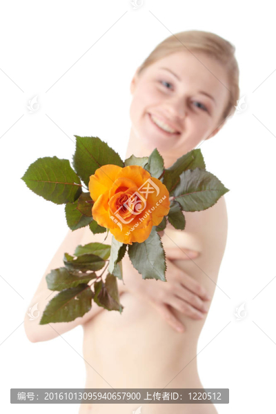 玫瑰