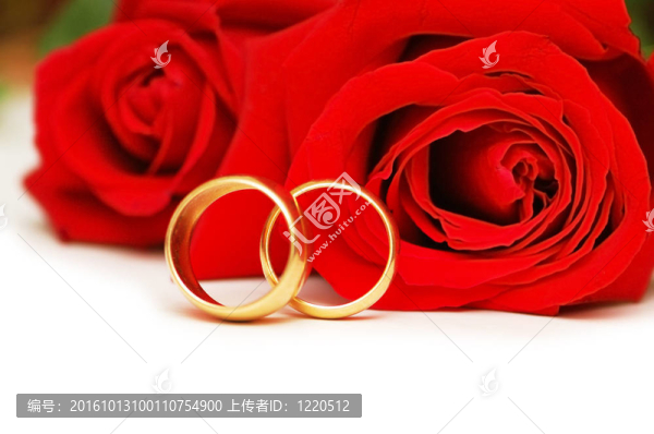 兩枚結婚戒指和白色的紅玫瑰