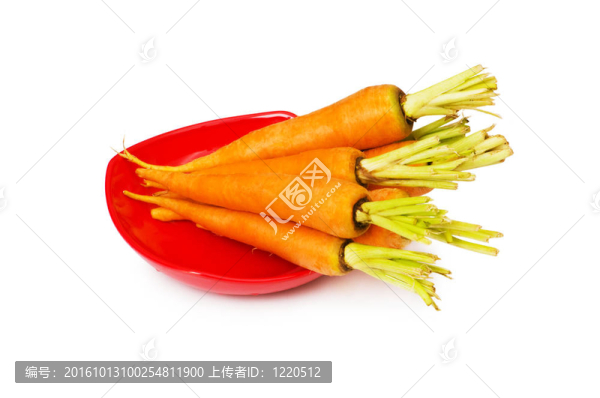 白色背景上的新鮮胡蘿卜
