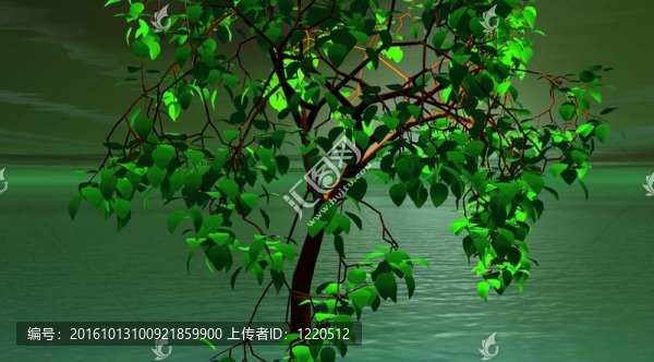 水和樹