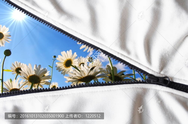隱藏的花